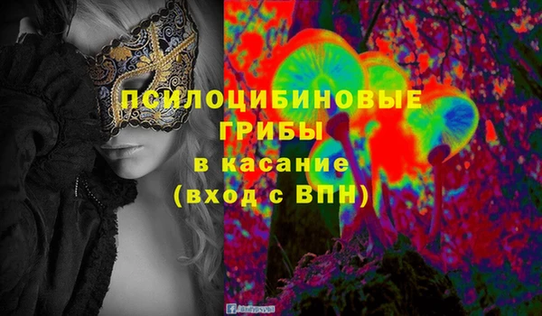 стаф Алексин