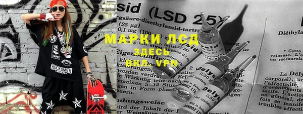 стаф Алзамай