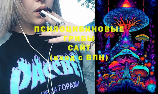 тгк Абаза
