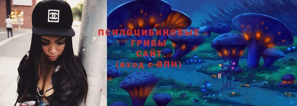 тгк Абаза